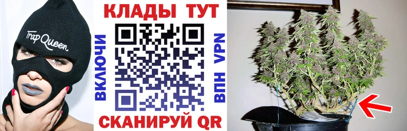 Где можно купить наркотики Оса Галлюциногенные грибы  A PVP  ГАШИШ  Мефедрон  Конопля 