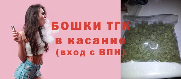 молекула духа Наволоки