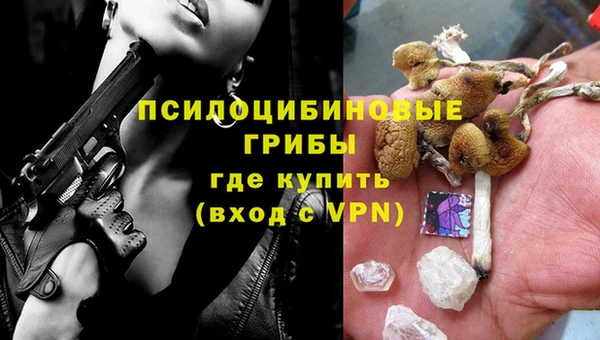 Альфа ПВП Михайловск